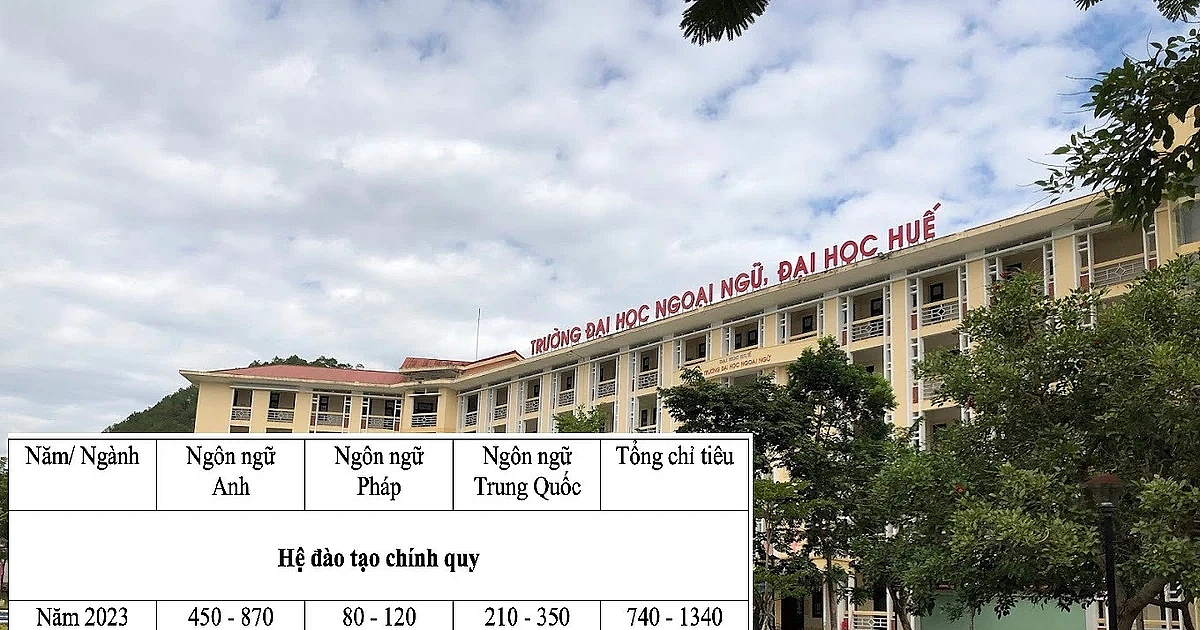 Đào tạo từ xa ngôn ngữ Anh, ĐH Ngoại ngữ Huế: Tư vấn nói có lớp đến 200 học viên