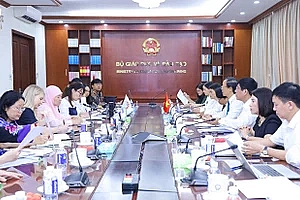 Nghiên cứu kết quả SEA-PLM để tham mưu chính sách giáo dục Việt Nam